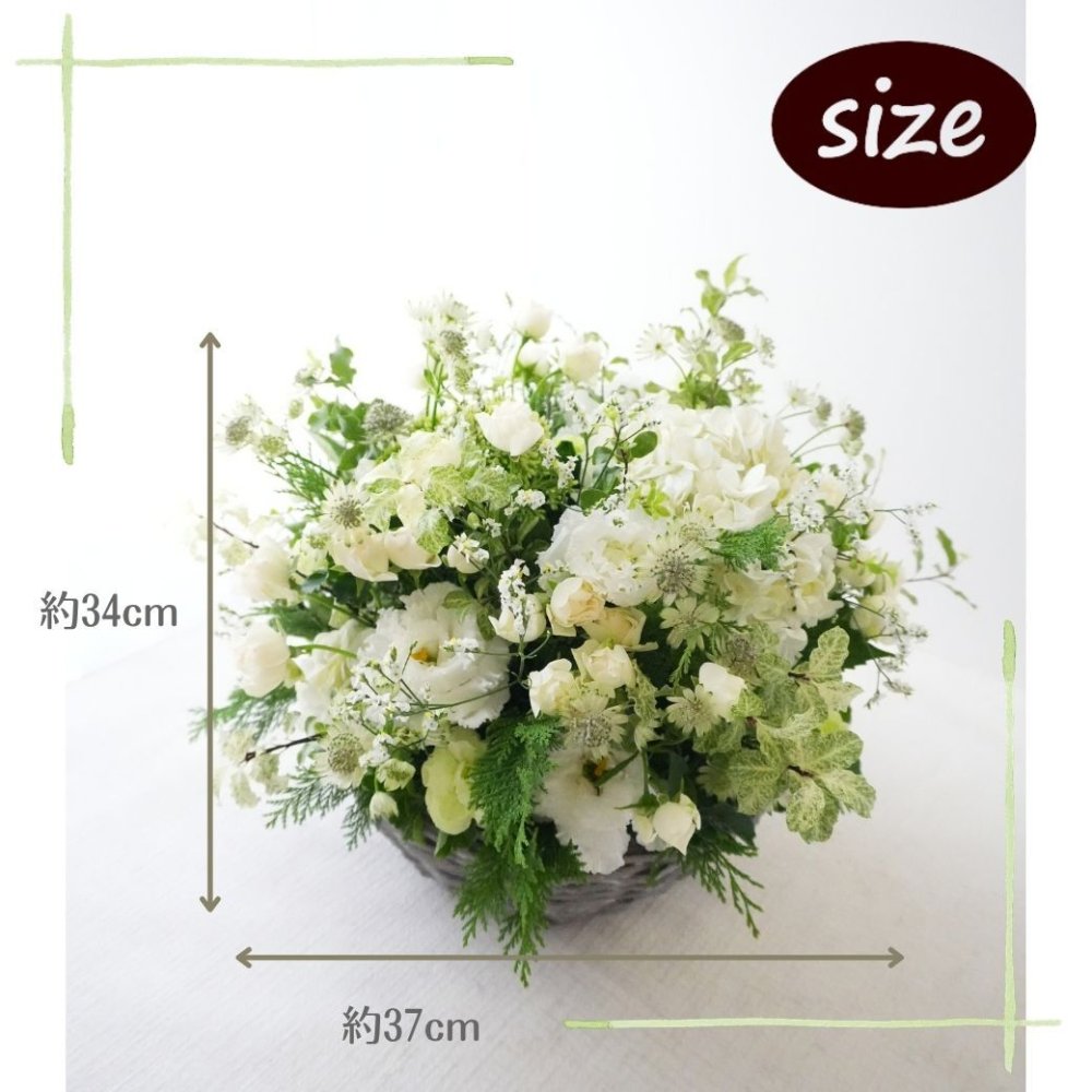 【Lagom Bloom 03】生花のアレンジメント インテリアのようなお花 新築のお祝いや開店のお祝いなど空間のインテリアのように飾ることができるお祝い花です 送料無料 生花 アレンジメント 誕生日 花 ギフト 送料無料 お礼 白 生花 お祝いアレンジメント 日頃の感謝 御祝 記念日 開店御祝い 自宅用 お供え フラワーギフト 展示会 楽屋花 受付 おしゃれ 母の日 敬老の日 お中元 お歳暮