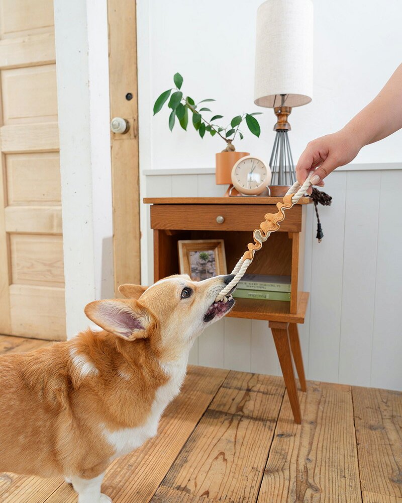 DADWAYPET ダッドウェイペット FAD ファッド レザー＆コットン・トイ ストレッチリング 犬用おもちゃ