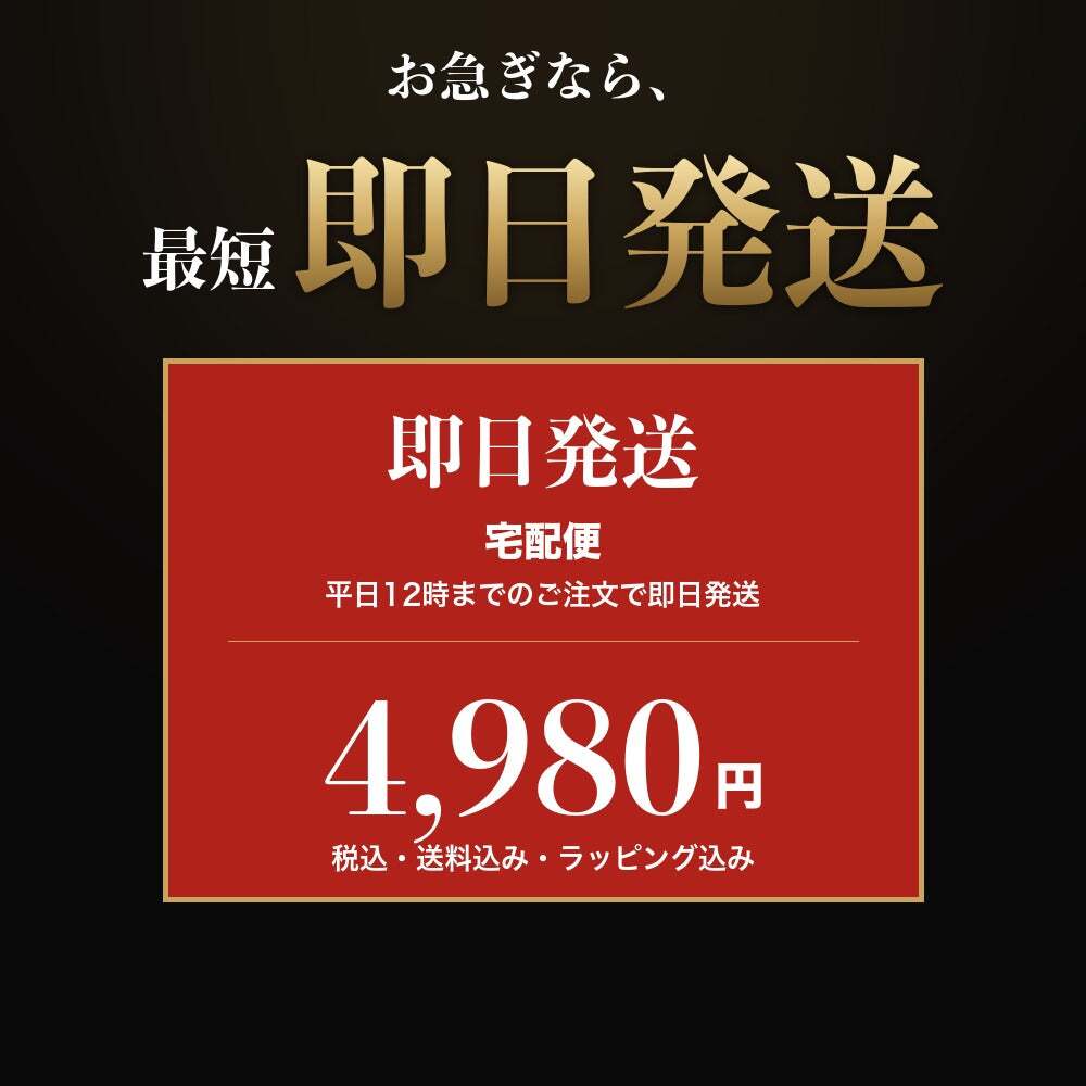 法人印鑑 2本セット 黒水牛 代表印 角印 ケースなし DQ 会社印 実印 印鑑 はんこ 会社設立 即日発送 ラッピング付き 永年保証 ギフト 開業祝い