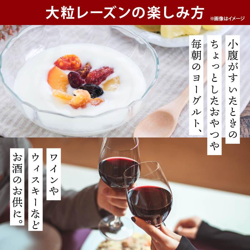前田家 大粒レーズン ノンオイル カリフォルニア産 300g/500g/700g 無添加 砂糖不使用 種なし ドライフルーツ 干しぶどう レーズン 大粒 製菓材料 おやつ 送料無料 MAEDAYA