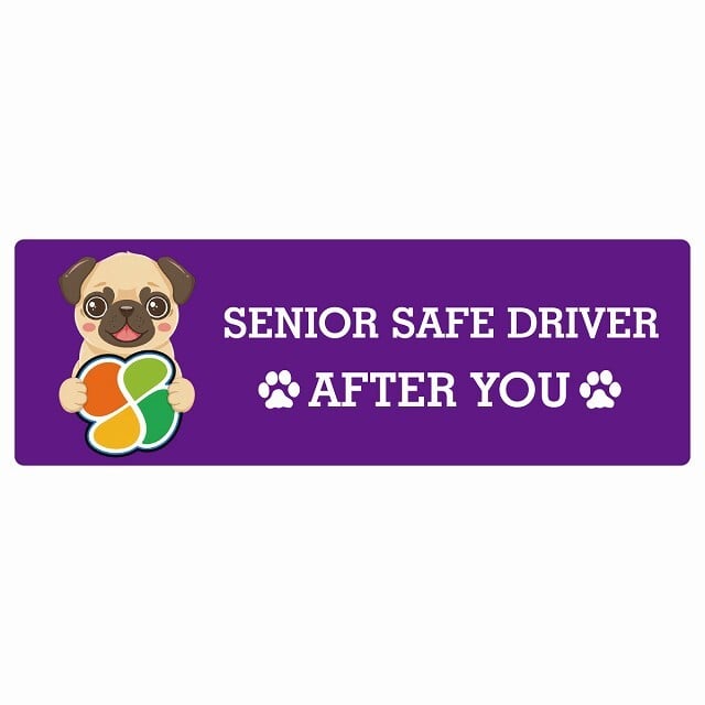 カーサイン 高齢者マーク SENIOR SAFE DRIVER パグ ステッカー シール 長方形 15x5cm 肉球 日本製 車