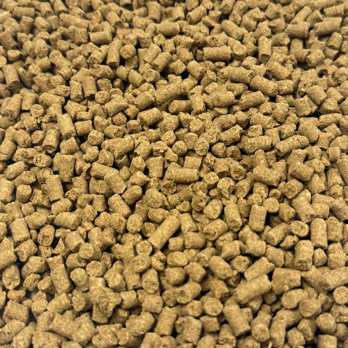 堆肥 OKY-999 10kg スリーナイン 有機JAS適合 乳酸菌 酵母菌 放線菌 光合成細菌 高濃度微生物資材 土壌活力材 アルム農材 ぼかし肥料 種菌 土づくり 団粒化 保肥力 有機農業 家庭菜園 連作障害 対策 果菜 アスパラ 野菜 農業資材 プロ仕様