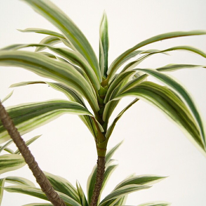 観葉植物 造花 ドラセナ ソングオブジャマイカ BROWN 全高約150cm 大型 フェイクグリーン 本物そっくり おしゃれ インテリア 人工観葉植物 アーティフィシャルグリーン オフィス 店舗 ホテル 開店祝い 室内 フェイク