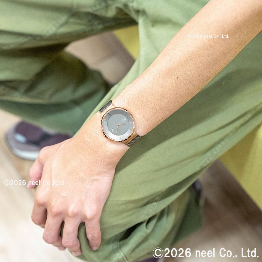 ベーリング BERING 腕時計 メンズ レディース ソーラー 日本限定モデル ペアモデル スカンジナビアンソーラー Scandinavian Solar 14639-369