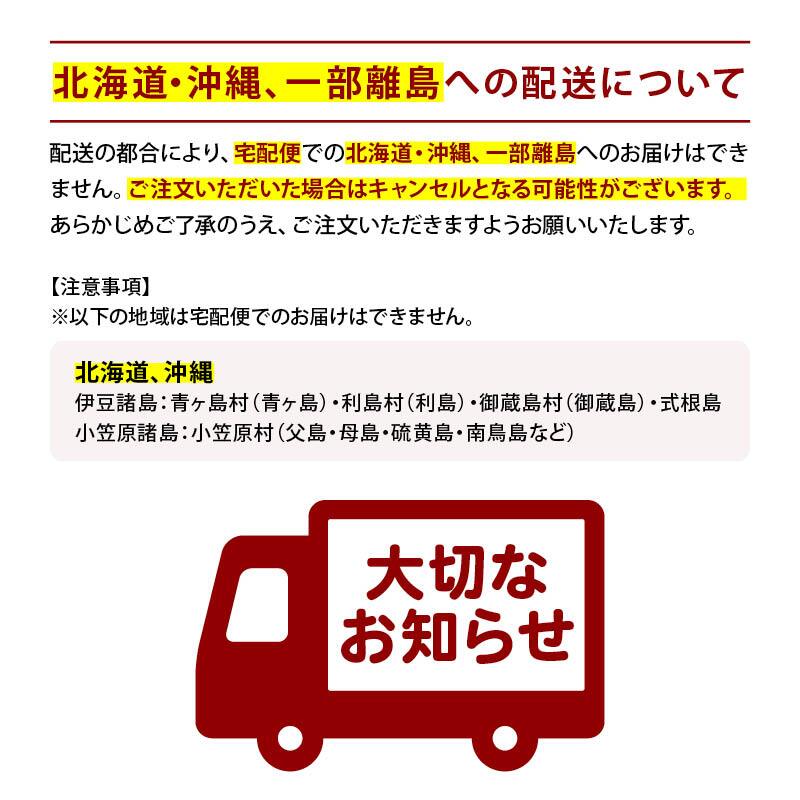 溝上酒造 天心 山田錦純米酒 720ml 辛口 金賞受賞 日本酒 地酒 銘酒 酒 お酒 山田錦 純米酒 食中酒 福岡 北九州 北九州市 溝上 酒造 父の日 敬老の日 ギフト 前田家 送料無料 MAEDAYA