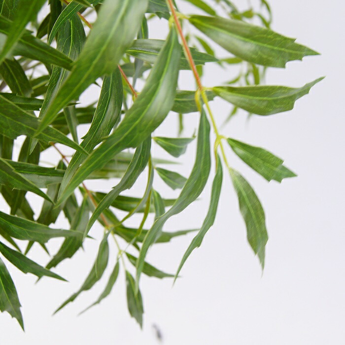 観葉植物 造花 マホニア コンフューサ BROWN 全高約180cm 大型 フェイクグリーン 高級 本物そっくり リアル おしゃれ 和風 和モダン インテリア 人工観葉植物 アーティフィシャルグリーン オフィス 店舗 ホテル 旅館 開店祝い 室内 リビング 玄関 庭木 細葉ヒイラギナンテン