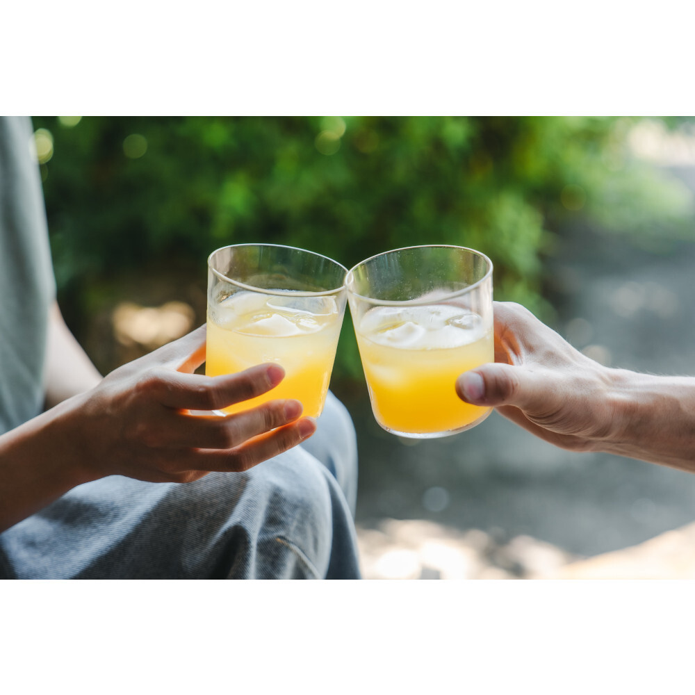 【3点入り・ギフトボックス】The はっさく 飲み比べセット｜プレーン・ドライさんしょう・生（PURE）
