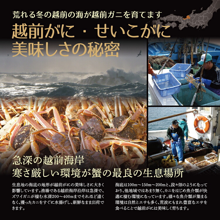 せいこ蟹 甲羅盛り 【数量限定】 越前がに 海鮮 詰め合わせ 福井県産 【冷凍便】美味しい贈物 お歳暮 ギフト