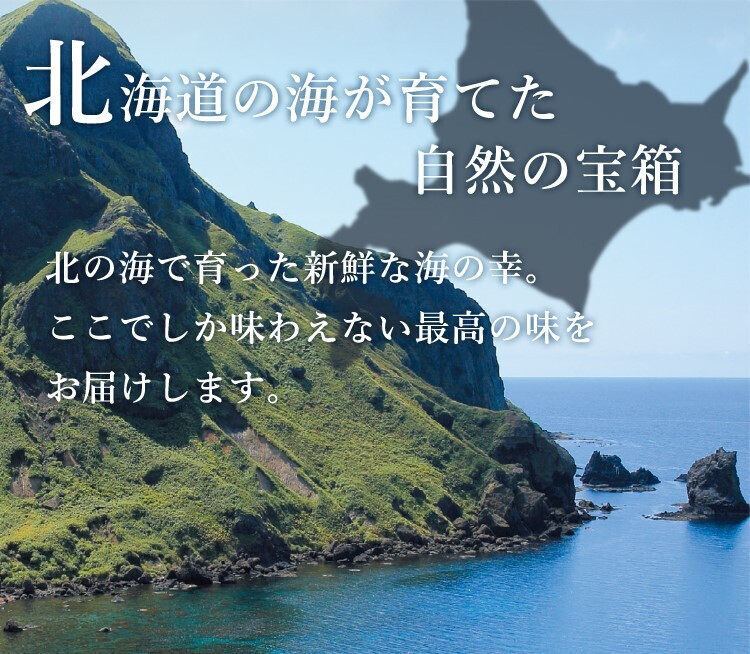 【送料無料】【高級ギフト】北海道　極宝珠漬セットB：2026年 お取り寄せ 北海道 誕生日プレゼント お歳暮 御歳暮 出産内祝い お返し 結婚 母 父 男性 女性 彼氏 彼女 お祝い お礼 お供え 極 海宝 かに うに  詰合せ 海鮮 人気セット 法人　冬ギフト