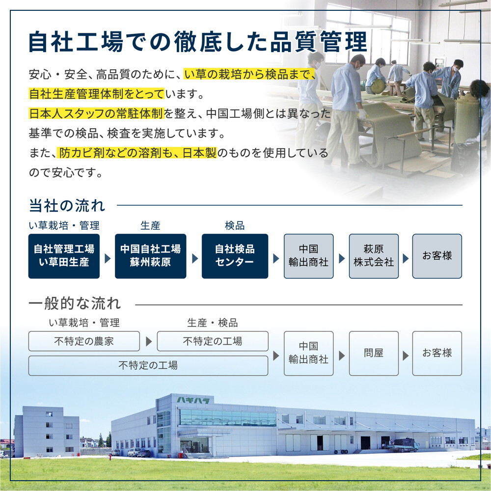 夏ラグ 夏用カーペット はっ水 ふっくらウレタン入り い草ラグ キハチ 約180×180cm 撥水 抗カビ 折りたためる コンパクト 滑り止め付き