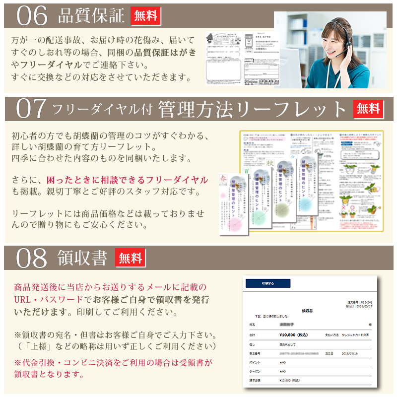 【在庫僅かですがございますのでお問合せください】胡蝶蘭 白大輪 ３本立ち 33輪～(蕾含む)  送料無料 ヤマト [r-midi6f]