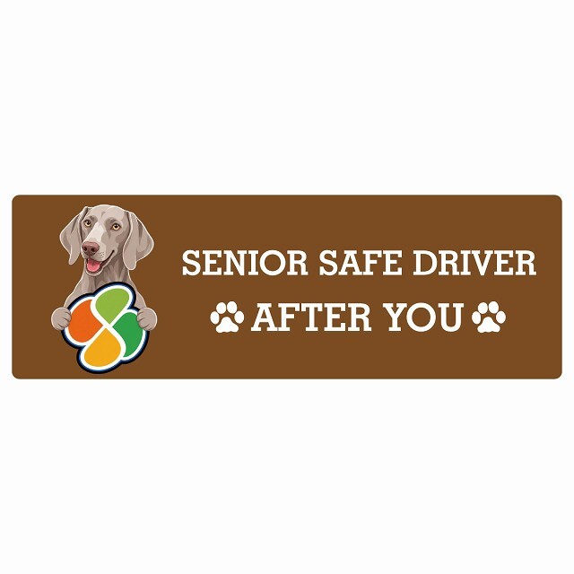 カーサイン 高齢者マーク SENIOR SAFE DRIVER ワイマラナー ステッカー シール 長方形 15x5cm 肉球 日本製 車