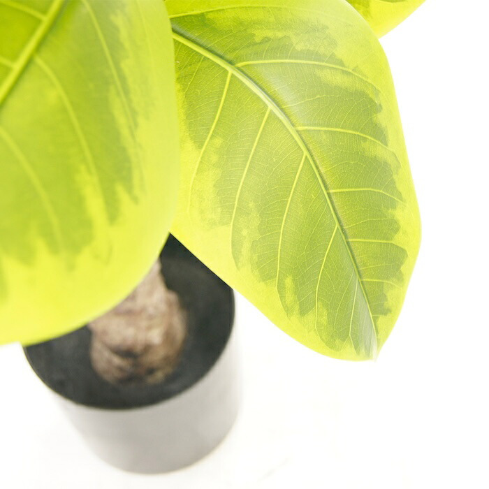観葉植物 造花 フィカス アルテシマ BROWN 全高約175cm 大型 斑入り フェイクグリーン 高級 本物そっくり リアル おしゃれ インテリア 人工観葉植物 アーティフィシャルグリーン オフィス 店舗 ホテル 開店祝い 室内 リビング 玄関 風水 ゴムの木 アルテシーマ