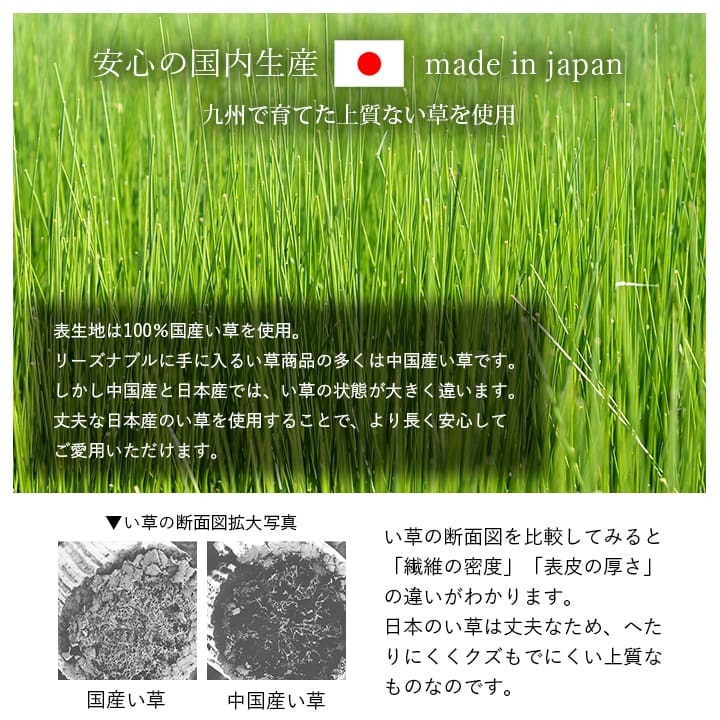 マット マットレス 枕 セット い草 国産 日本製 ボリューム くつろぎ プレゼント ギフト ラッピング 吸汗 調湿 消臭 お手入れ簡単 マット約70×150cm 枕約50×30cm ボリューム感のある 国産い草マットレス 抗菌防臭 ポリエステル 綿