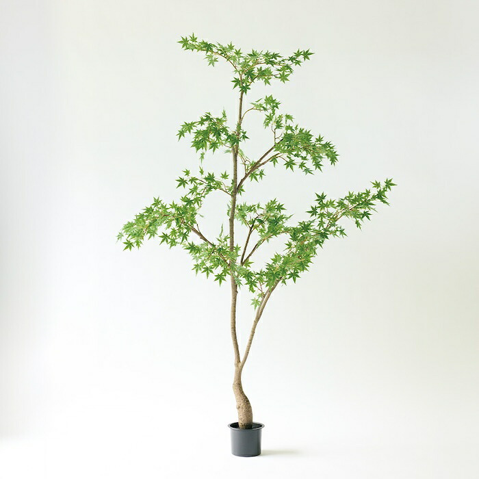 観葉植物 造花 イロハモミジ BROWN 全高約230cm 大型 フェイクグリーン 高級 本物そっくり リアル おしゃれ 和風 和モダン インテリア 人工観葉植物 アーティフィシャルグリーン オフィス 店舗 ホテル 旅館 開店祝い 室内 リビング 玄関 風水 もみじ 紅葉 カエデ