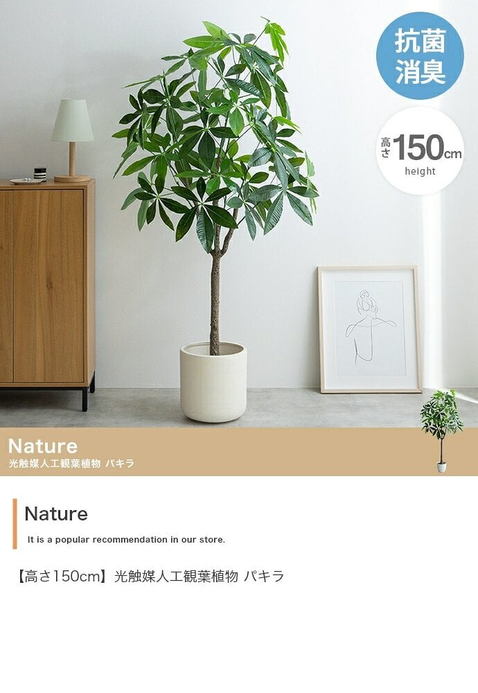 照明 ライト パキラ 観葉植物 人工 フェイクグリーン 室内 リビング オフィス 一人暮らし 緑 インテリア 光触媒 空気清浄 消臭 抗菌 防汚 ホルムアルデヒド分解 おしゃれ 高さ150cm 造花 植木 鉢植え 新築祝い 開店