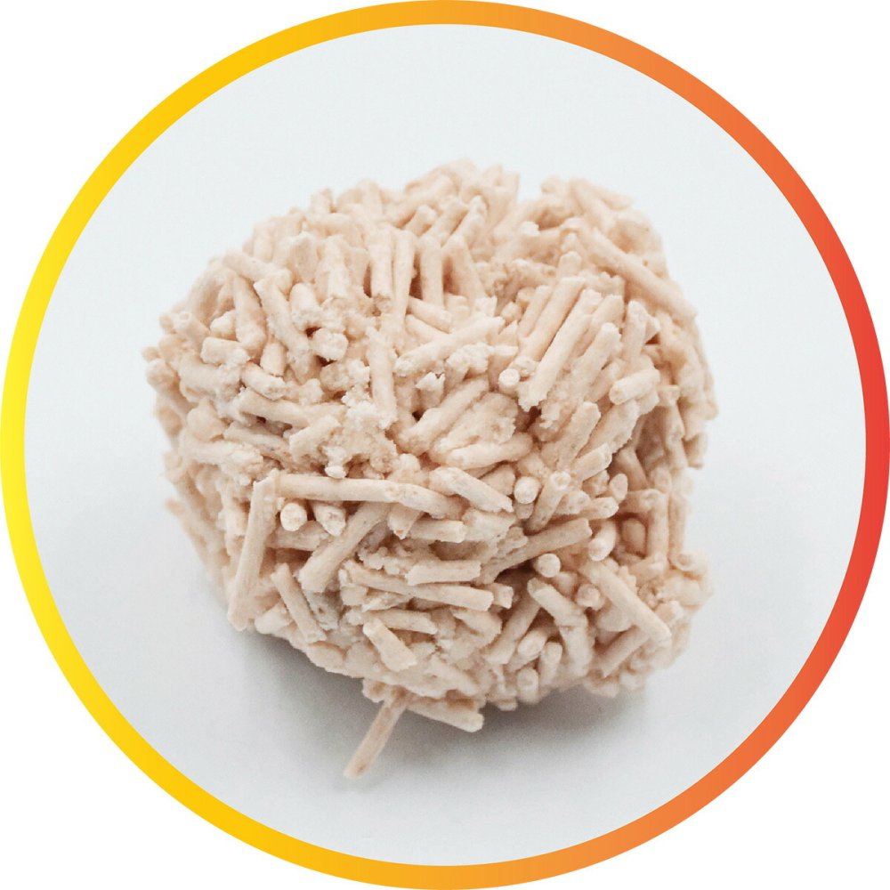 Kaniva カニワ Kasty キャスティー 豆腐猫砂 抹茶（マッチャ） 10L（4.54kg）×4個