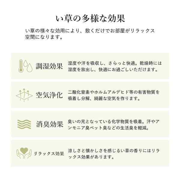 ラグ 長方形 い草 自然素材 シンプル ボーダー 裏面すべり止め付き 滑りにくい 抗菌防臭 約6畳 約240×320cm