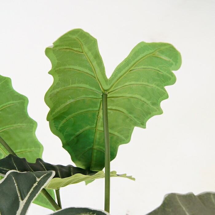 観葉植物 造花 アロカシア BROWN 全高約61cm 卓上・小型 フェイクグリーン 本物そっくり おしゃれ インテリア 人工観葉植物 アーティフィシャルグリーン オフィス 店舗 ホテル 開店祝い 室内 ミニ クワズイモ フェイク