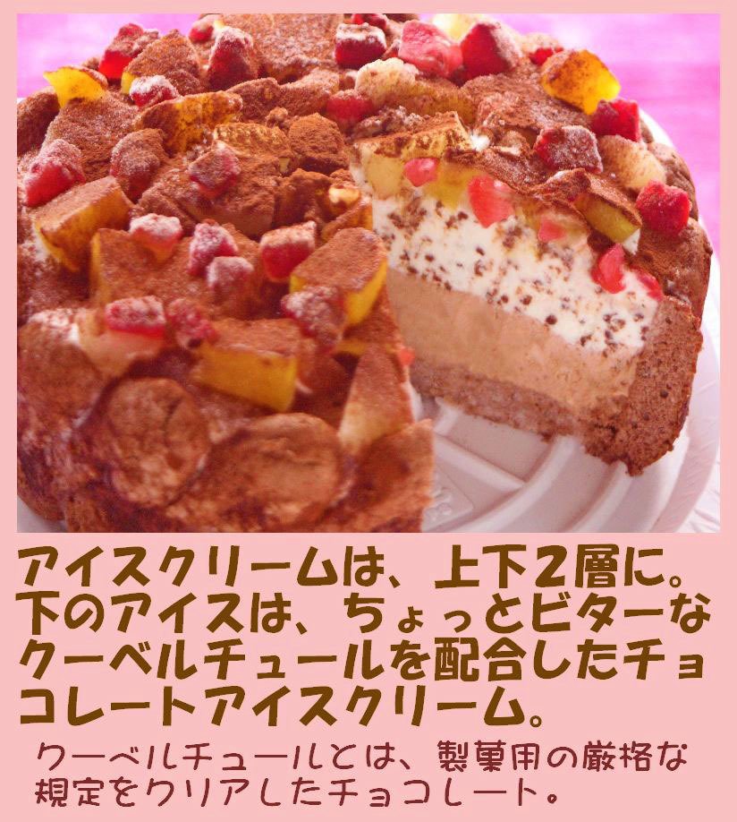 クリスマス生乳チョコアイスケーキ【4～7号】 ［クリスマスケーキ クリスマスデコレーション クリスマスアイスケーキ］