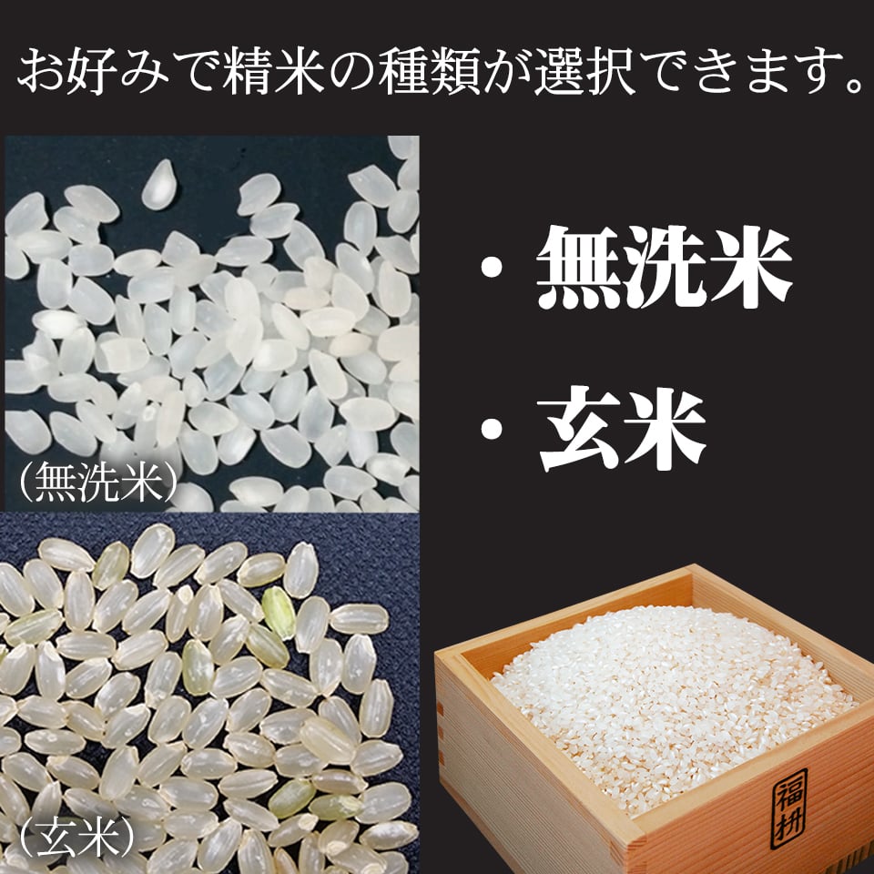 新米 ミルキークイーン お米 米 10kg 送料無料 無洗米 玄米 特別栽培 減農薬 化学肥料最小限 栃木産 2026年産 令和8年産 こめ コメ 産直 限定品 おとりよせ 取寄せ ギフト プレゼント 贈答用 ミルキークィーン 10キロ ご飯 ライス ランキング あす楽 送料込み お祝い 内祝