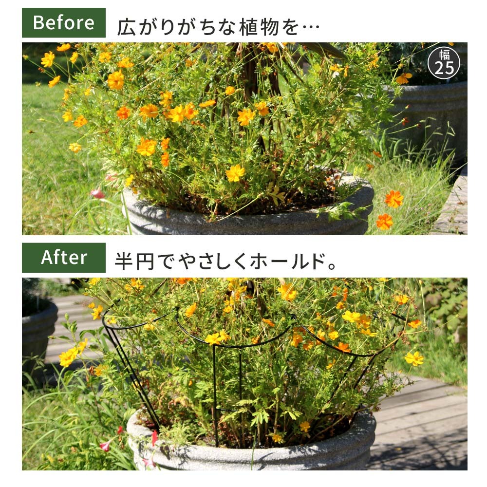 アイアン製植物サポーター 幅18 8本セット IF-N0050-8P奥行10 高さ50 ハーフリング 倒れ防止 広がり抑制 スチール 鉄製 支柱 園芸 植物サポート フラワーサポート 菜園 花壇