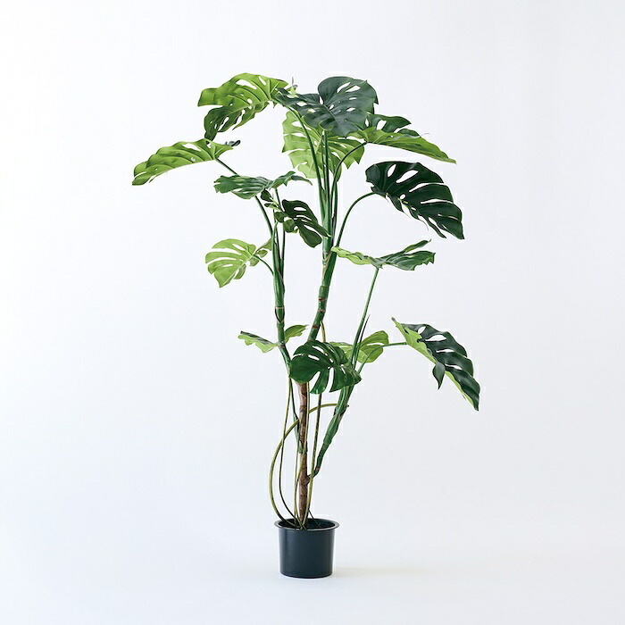観葉植物 造花 モンステラ BROWN 全高約150cm 大型 フェイクグリーン 高級 本物そっくり リアル おしゃれ インテリア 人工観葉植物 アーティフィシャルグリーン 南国 モダン オフィス 店舗 ホテル 開店祝い 室内 リビング 玄関 風水 フェイク