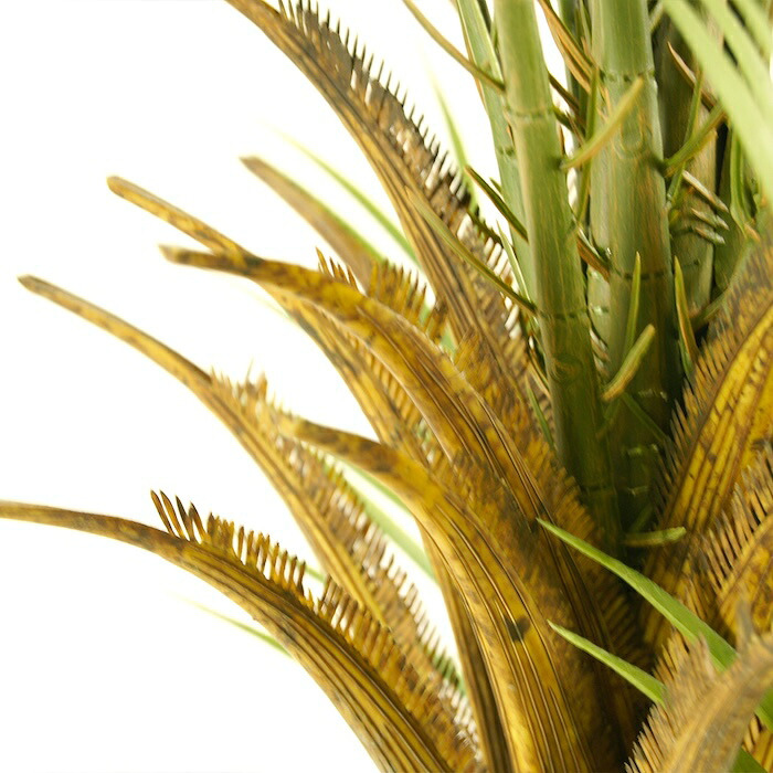 観葉植物 造花 フェニックス ロベレニー BROWN 全高約190cm 大型 フェイクグリーン 高級 本物そっくり リアル おしゃれ インテリア 人工観葉植物 アーティフィシャルグリーン 2本立ち オフィス 店舗 ホテル 開店祝い 室内 リビング 玄関 風水 ヤシの木 シンノウヤシ