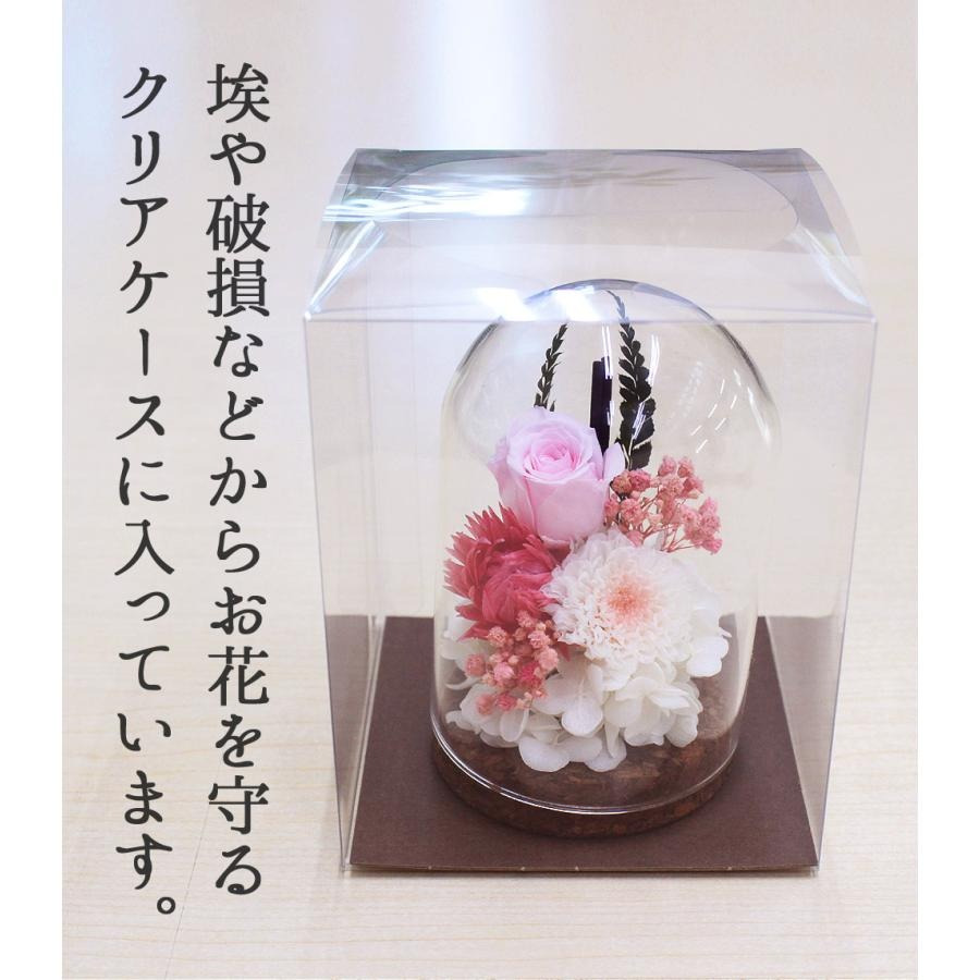 【動物病院 ペットサロン御用達】ペット お供え 仏壇 仏花 四十九日 御供 仏花 法事 亡くなった お悔み花 プリザーブドフラワー 猫 犬 ペット お供え 花 仏花 ガラスドーム 線香 ろうそく 仏花 法要 供養 水やり不要 ペット用仏具 お悔やみ クリアケース付