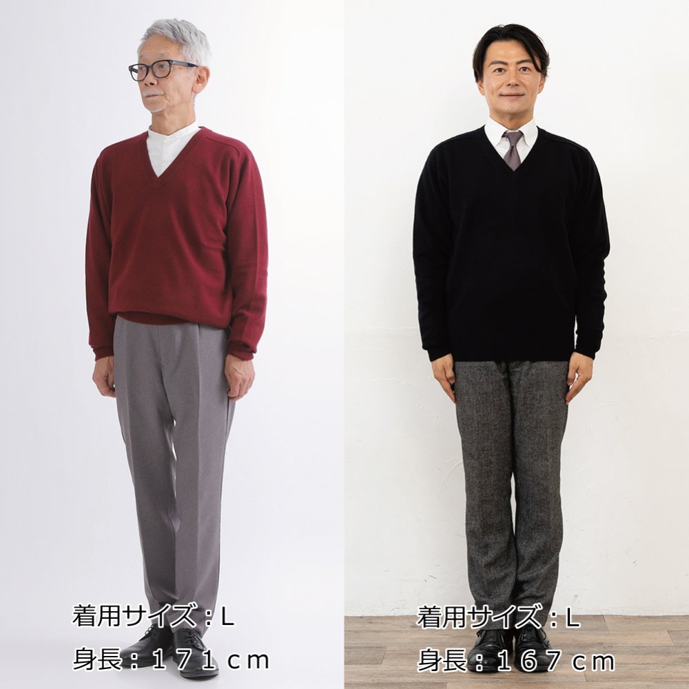 【カシミヤ１００％試験鑑定済】カシミヤ１００％メンズＶ首セーター 【ラッピング無料】【メッセージカード無料】父の日 敬老の日 クリスマス 還暦祝い 百貨店 高級 誕生日 記念日 ブランド メンズ 30代 40代 50代 60代 70代 80代 90代