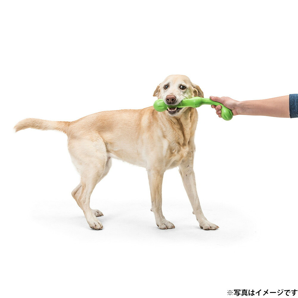 West Paw ウェストポウ ゾゴフレックス・エコー ズイッグ 犬用おもちゃ L ホットピンク