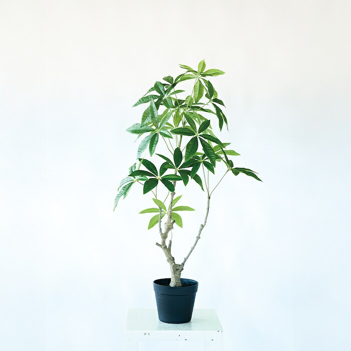 観葉植物 造花 パキラ BROWN 全高約90cm 中型 フェイクグリーン 本物そっくり おしゃれ インテリア 人工観葉植物 アーティフィシャルグリーン オフィス 店舗 ホテル 開店祝い 室内 発財樹 フェイク