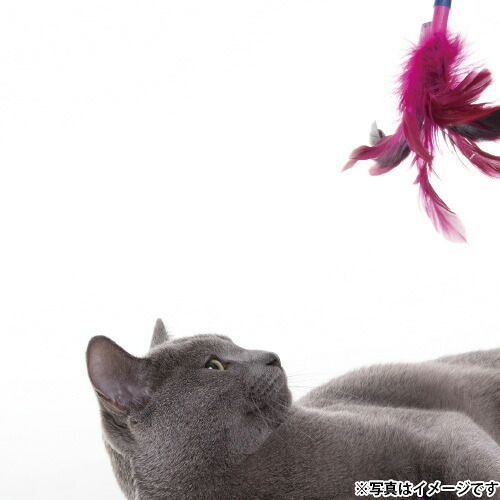 ジョイサー JOYSER フェザーワンド 猫用おもちゃ ライム