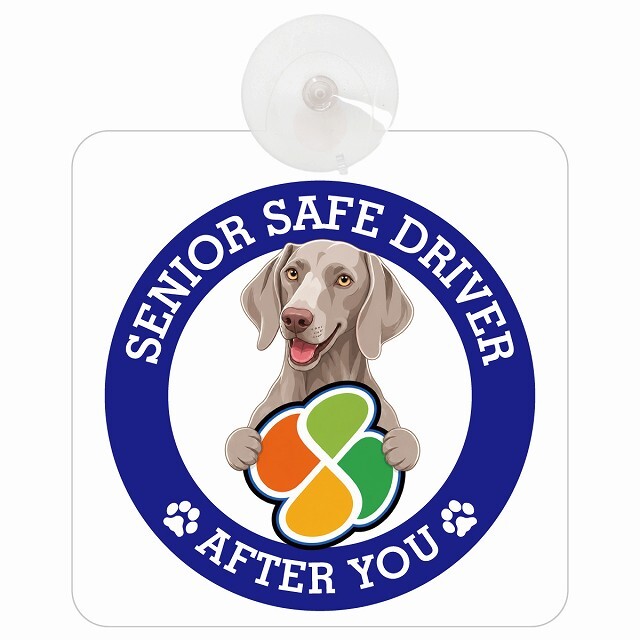 カーサイン 高齢者マーク SENIOR SAFE DRIVER ワイマラナー 車内用 吸盤タイプ 収れん火災防止タイプ 肉球 日本製 車 ステッカー