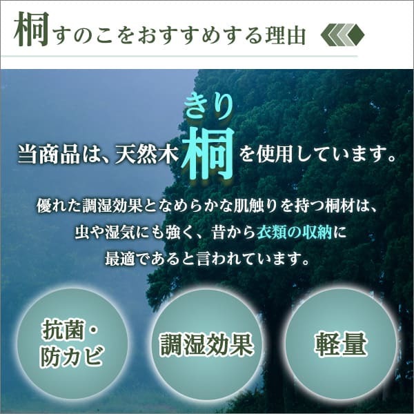 天然木使用 抗菌・防カビ・調湿効果 軽量押し入れ桐すのこ 8枚入り OKR-8--NA ナチュラル 幅33x奥行75×2.8cm ホームテイスト インテリア 収納 収納家具 押入れ収納 押入れすのこ 防カビ 調湿効果 軽量 新生活