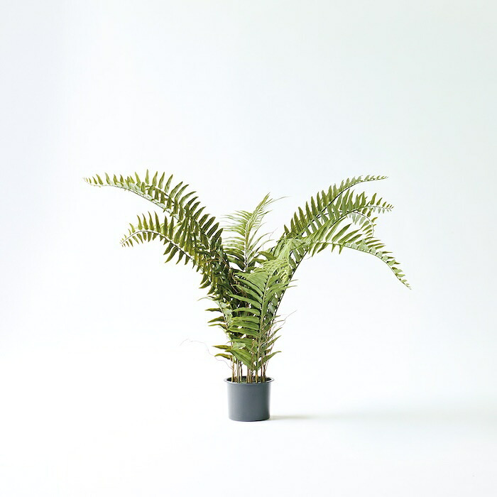 観葉植物 造花 ジャイアントソードファーン 立性 BROWN 全高約91cm フェイクグリーン 高級 本物そっくり リアル おしゃれ インテリア 人工観葉植物 アーティフィシャルグリーン シダ ナチュラル オフィス 店舗 開店祝い 室内 リビング 玄関 風水 ボストンファーン