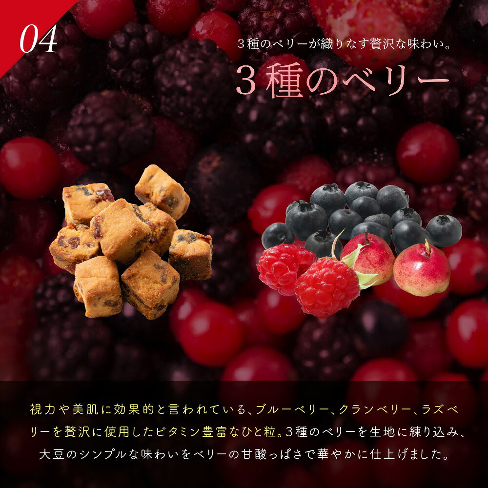 ソイキューブ【選べる種類とサイズ】 雑穀米本舗 | (チョコ/アーモンド/ホワイトチョコ/3種のベリー) SOYCUBE お菓子 おからパウダー 大豆粉 グルテンフリー 小麦不使用 低GI 低糖質 糖質制限 小腹サポート 食物繊維