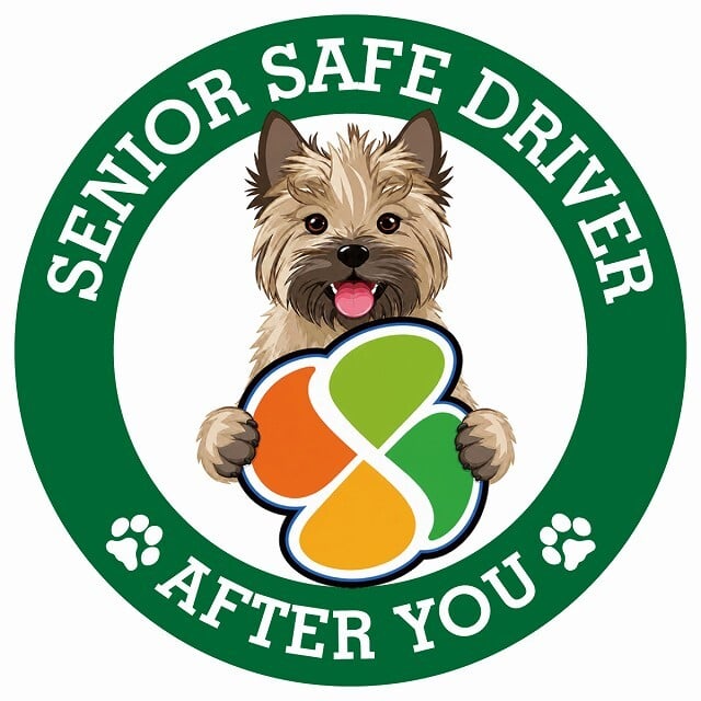 カーサイン 高齢者マーク SENIOR SAFE DRIVER ケアーンテリア ステッカー シール 直径13cm 肉球 日本製 車