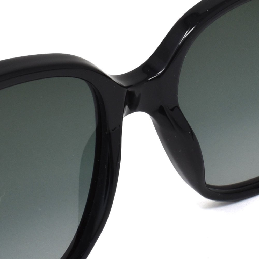 グッチ GUCCI サングラス GG0022S-001 ブラック グレーグラデーション メンズ レディース ユニセックス UVカット