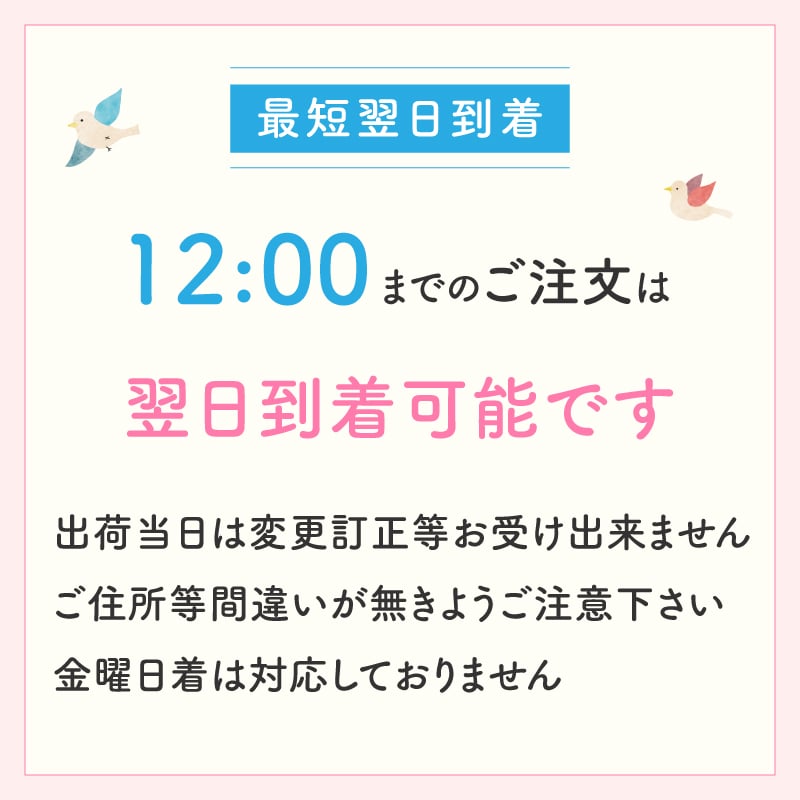 【花瓶いらずのミニブーケ】【選べる3色】【Sサイズ】【クール便】そのまま飾れる 到着日指定可 最短翌日お届け スタンドブーケ スタンディングブーケ | 敬老の日 誕生日 結婚祝い 出産祝い 還暦祝い 退職祝い 結婚記念日 引っ越し祝い 新築祝い 産休祝い 開業・開店祝い 記念日 開店祝い 周年祝い ペットのお悔やみ お悔やみ