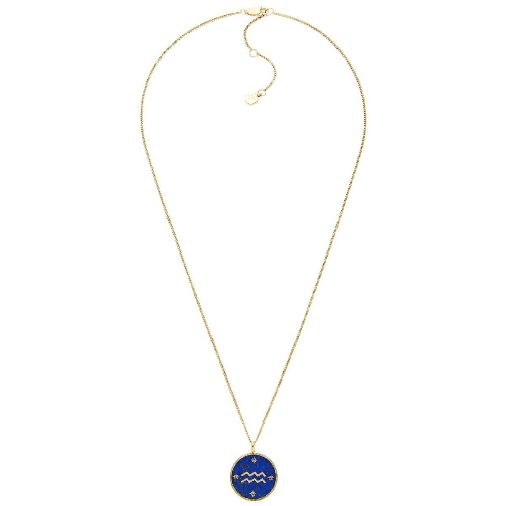 フォッシル FOSSIL Sutton アクセサリー ネックレス ペンダント みずがめ座 レディース JF04849710