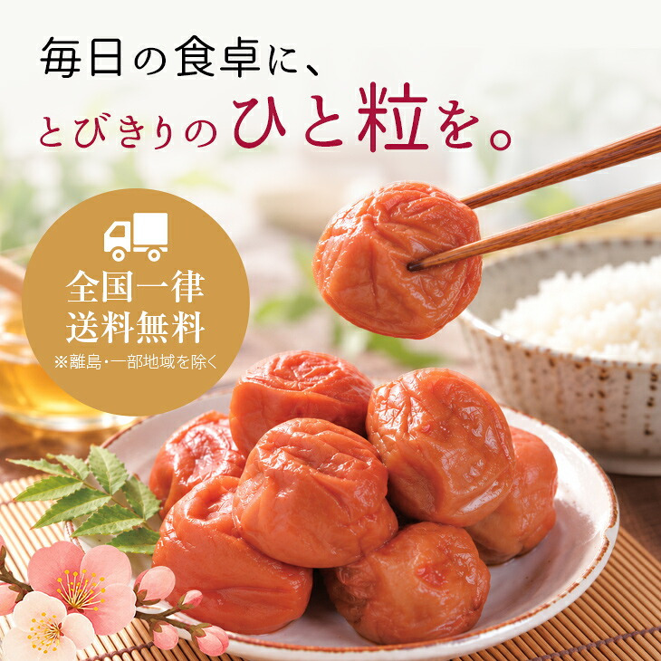 梅干し 紀州南高梅 つぶれ梅 1.7kg 850g×2パック 塩分約3% 減塩 しそ漬け 和歌山県産 赤しそ 紫蘇漬け 大粒 訳あり 紀州 お徳用 果肉たっぷり ご飯のお供 ギフト