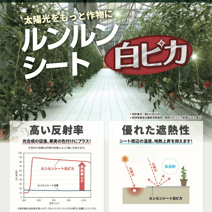 ルンルンシート 白ピカ 防草シート 白色 100m 反射シート 雑草対策 太陽光反射 光合成促進 地表温度抑制 透水性 幅50/75/100/150/200/300/400cm 7サイズ展開 農業マルチング ビニールハウス 家庭菜園 畑 法面 太陽光発電 ポリプロピレン 耐用3-5年 業務用 特許取得
