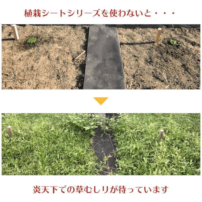 25平米分セット 二層構造防草シートセット クラピア 植栽用 （25m2） 1m幅 25m巻 + J字型ピン （150本） 二重構造の高耐久性10年