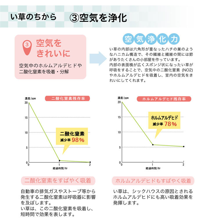 夏ラグ 夏用カーペット ラグ い草 撥水 滑り止め 不織布 格子柄 シンプル カジュアル 抗菌防臭 約190×300cm 新生活