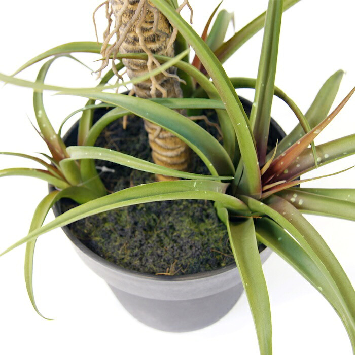 観葉植物 造花 チランジア ミックス BROWN 全高約81cm 中型 フェイクグリーン 本物そっくり おしゃれ インテリア 人工観葉植物 アーティフィシャルグリーン オフィス 店舗 ホテル 開店祝い 室内 エアプランツ フェイク