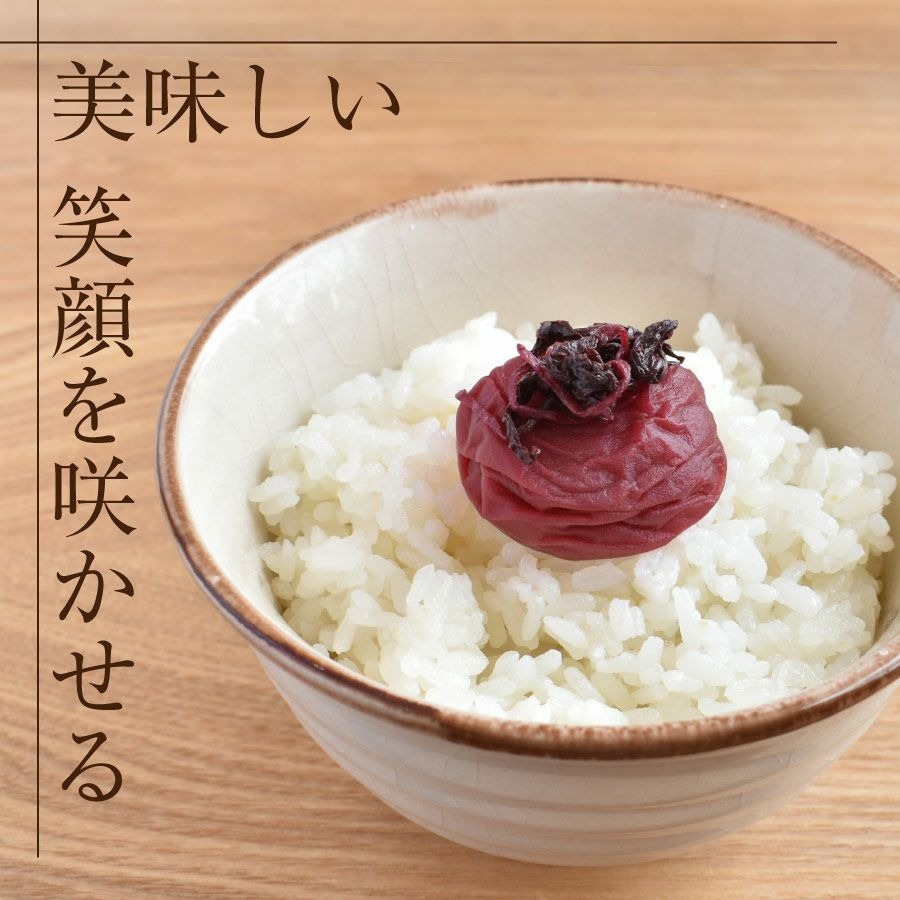 【特選紀州南高梅 】【しそ漬梅うす塩味250g×2パック（塩分約9％）】【紀州産】【調味梅干】食べやすい減塩のしそ漬梅干し つけもの 梅干し ギフト プレゼント 内祝