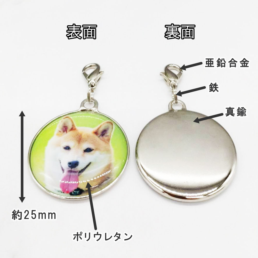 写真入り チャーム バッグチャーム 記念品 プレゼント ギフト  卒業記念品 卒業 卒園 卒部 敬老の日 母の日 父の日 誕生日プレゼント 還暦祝い 祖母 祖父 お父さん お母さん 父 母 男性 女性