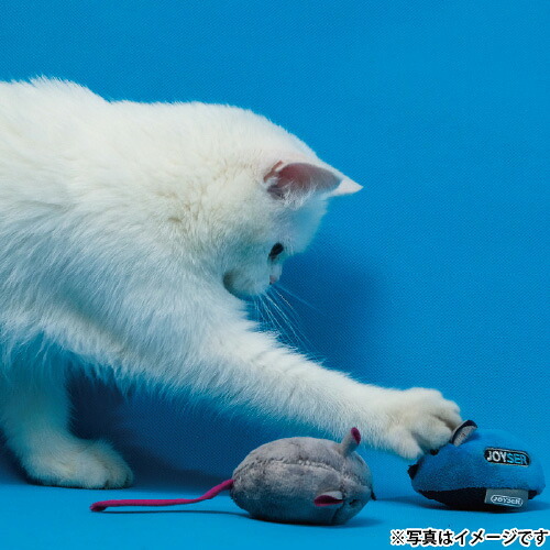 ジョイサー JOYSER サウンドチップマウス アッシュ 猫用おもちゃ アッシュ