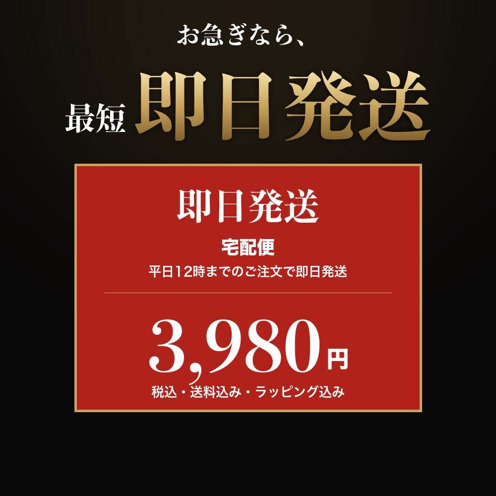 法人印鑑 2本セット 上柘 代表印 銀行印 専用ケース付 RR 会社印 実印 印鑑 はんこ 会社設立 即日発送 ラッピング付き 永年保証 ギフト 開業祝い